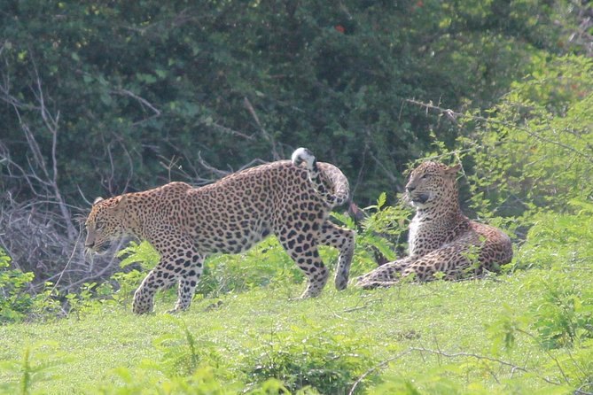 Highlights Of Sri Lanka- 7 Days Tour - Pickup and Meeting Points