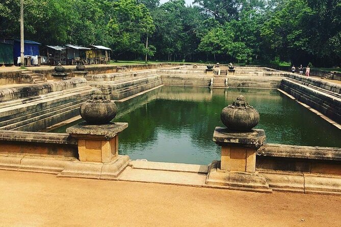 Highlights of Sri Lanka 8 Days Private Tour - Mirissa to Galle