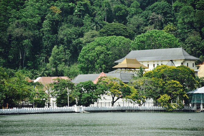 Highlights of Sri Lanka 8 Days Private Tour - Galle to Colombo