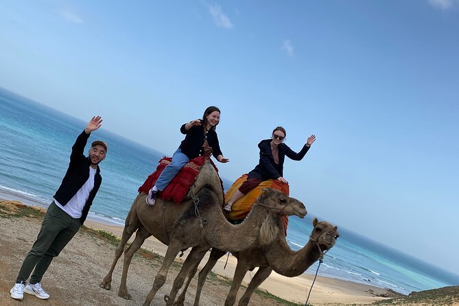 Highlights of Tangier Half Day Tour - Visit the Kings Palace