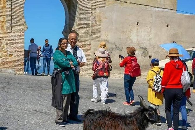 Highlights of Tangier Half Day Tour - Discover Perdicaris Park
