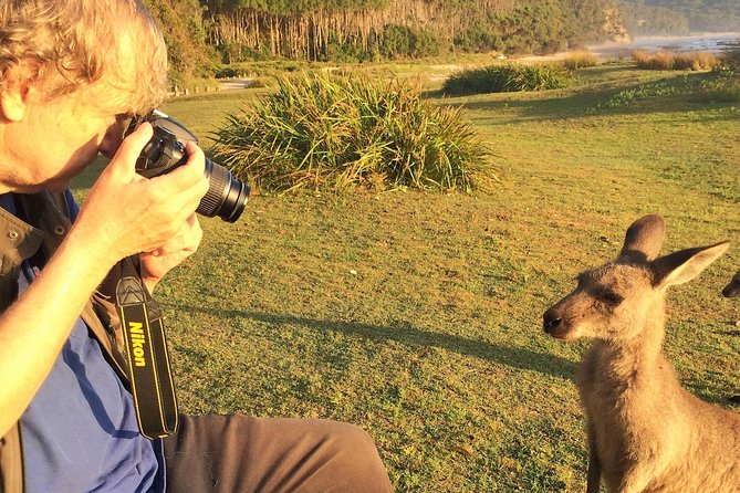 Highlights of the Eurobodalla (Half Day Private Tour) - Seeking Native Wildlife