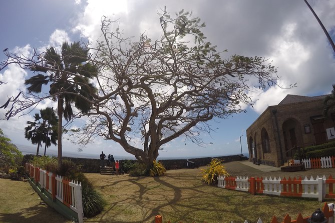 Highlights of Tobago Tour - Explore Royal Botanic Gardens