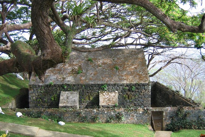 Highlights of Tobago Tour - Tour Duration and Traveler Capacity