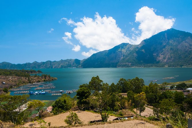 Highlights of Ubud & Mount Batur Volcano - Private Day Trip - Ubud Highlights
