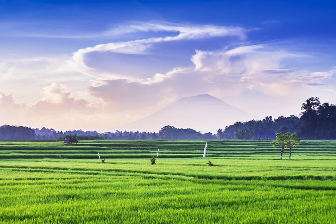 Highlights of Ubud & Mount Batur Volcano - Private Day Trip - Customer Reviews and Ratings