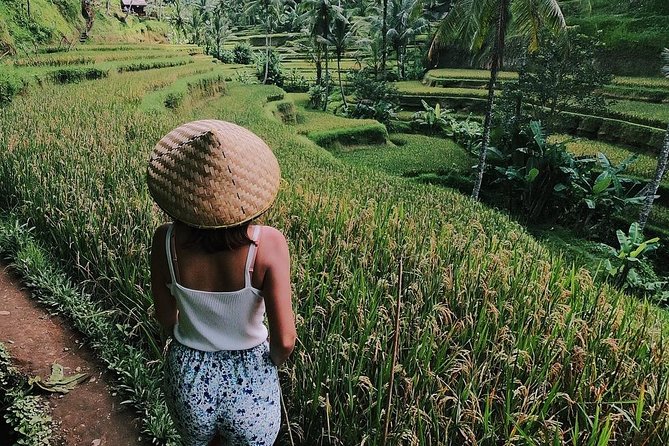 Highlights of Ubud: Nature, Rice Terrace, Waterfall, Temple and More - Key Points