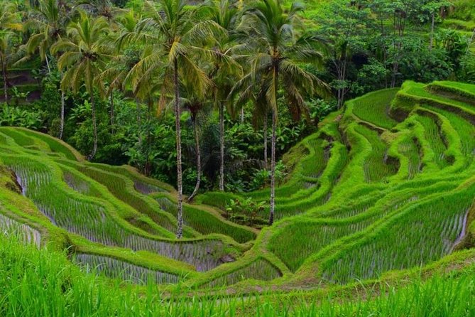 Highlights of Ubud: Nature, Rice Terrace, Waterfall, Temple and More - Tegenungan Waterfall Visit