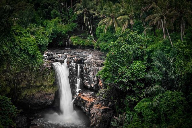 Highlights of Ubud Tours (Tickets Inclusive) - Customer Reviews