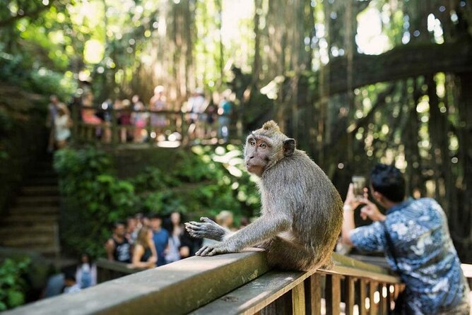 Highlights of Ubud Tours (Tickets Inclusive) - Payment Options