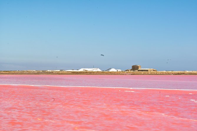 Highlights of Walvis Bay Guided 1/2 Day Tour (Shore Excursion) - Local Guide Commentary