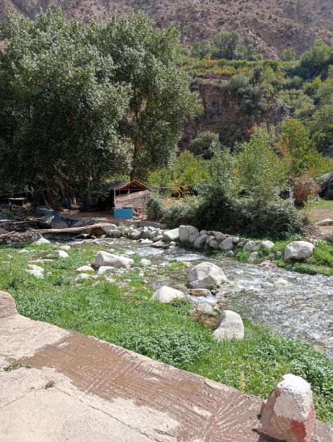 Highlights Tour With Lunch & Camel Ride in Atlas Mountains - Culinary Delights
