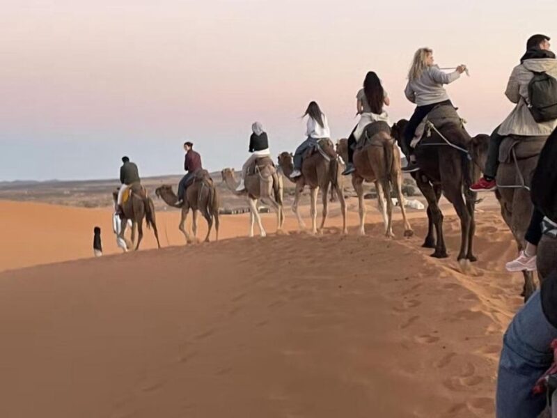 Highlights Tour With Lunch & Camel Ride in Atlas Mountains - Inclusions and Accessibility
