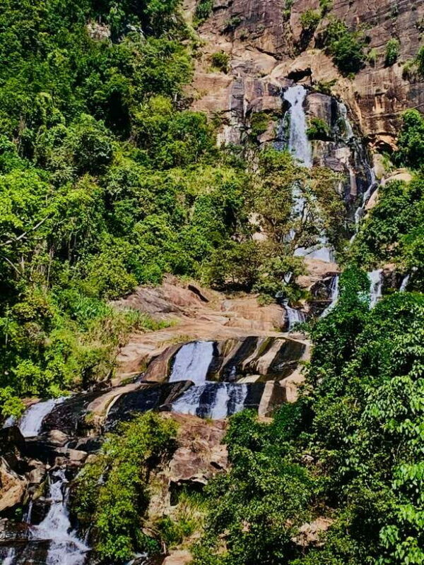 Highlights tour with tasting & Green environment in ella - Who Should Consider This Tour?