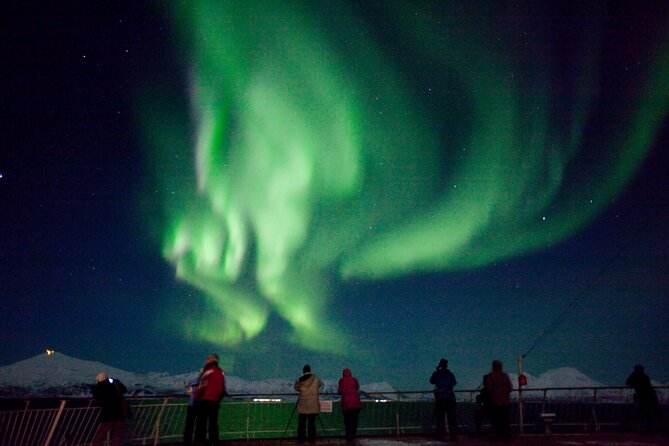 Highway to Heaven - Aurora Cable Car Transfer in Tromsø - What to Expect