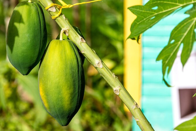 Higuey and River Yuma Full Day Tour With Lunch From Punta Cana - Exploring Higuey