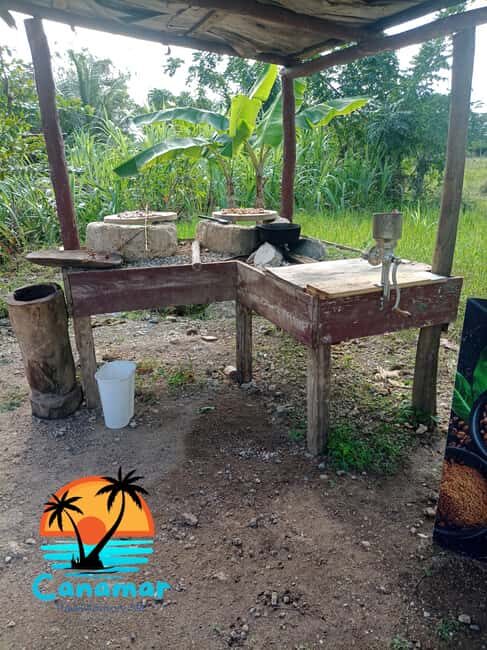 Higuey discovery, coffee and cocoa tasting from punta cana - Final Thoughts