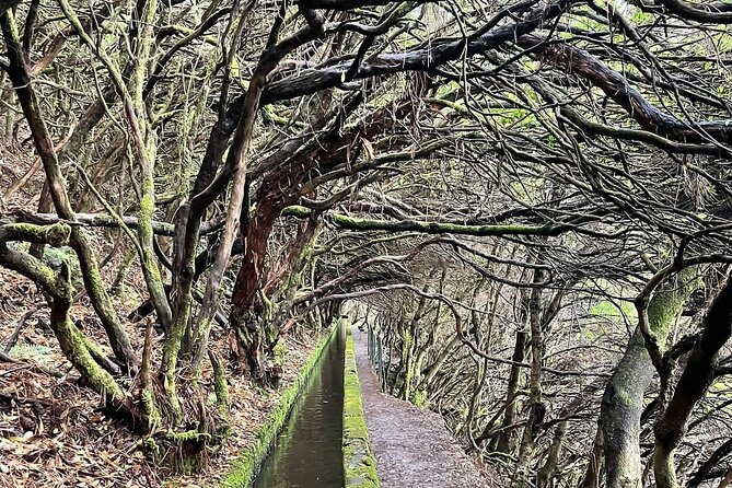 Hike 25 Fontes & Risco Levada Self-Guided - Health Considerations