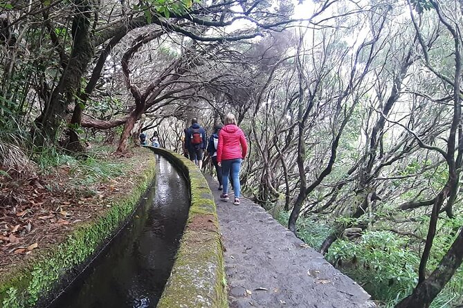 Hike 25 Fontes & Risco Levada Self-Guided - Driver Communication and Flexibility