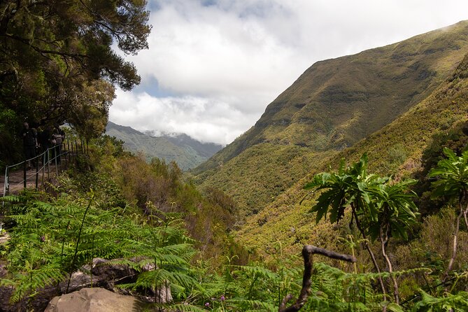 Hike 25 Fontes & Risco Levada Self-Guided - Scenic Beauty and Reviews