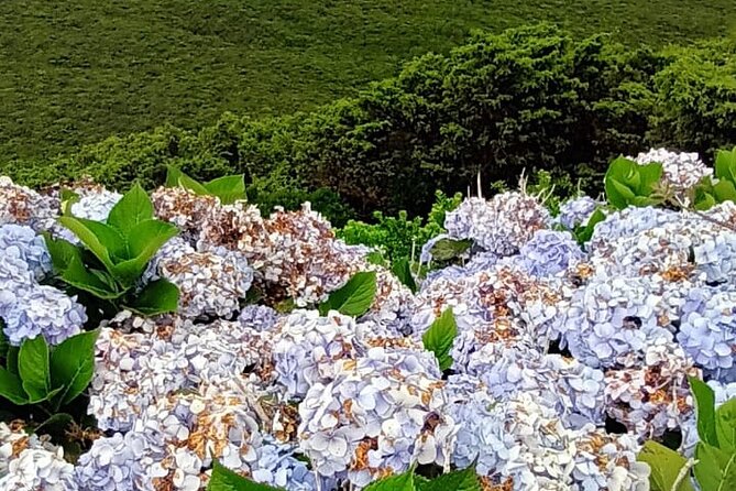 Hike 3 Hours Inland Terceira Island - Physical Fitness Level