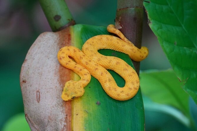 Hike Adventure in Cahuita National Park - Highlights of the Hike