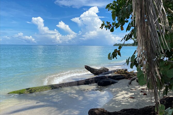 Hike Adventure in Cahuita National Park - What to Bring