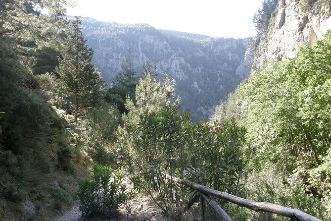 Hike Agia Irini Gorge Private Tour (Price per Group of 6) - Schedule