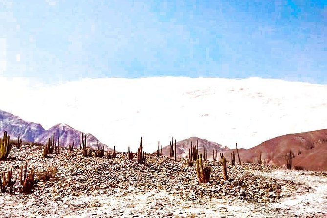 Hike and Adventure in the Highest Dune in the World (Private) - Sandboarding Adventure