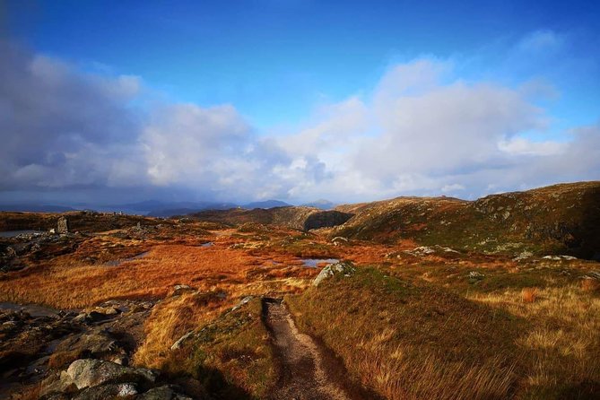 Hike and Cabin Experience at Vidden, Bergen - Highlights From Traveler Reviews