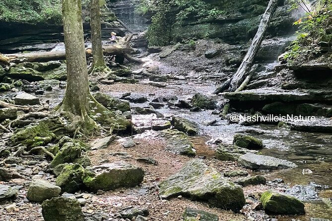 Hike and Chase Waterfalls With Nashville Is Nature! - Frequently Asked Questions