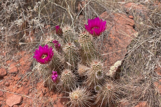 Hike and Heal Couples Relationship in Sedona Healing Red Rocks - Recap