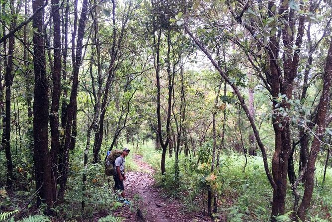 Hike and Kayak With Exploring Tuyen Lam Lake in Da Lat - Pricing and Reviews
