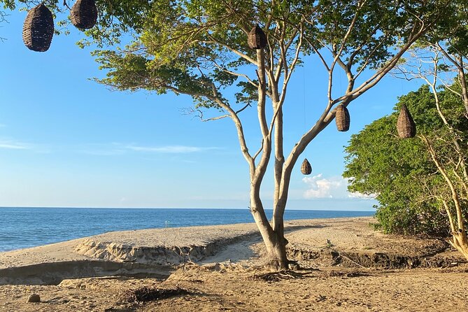 Hike and Yoga Jungle Experience in Mexico - Meeting Point and Start Time