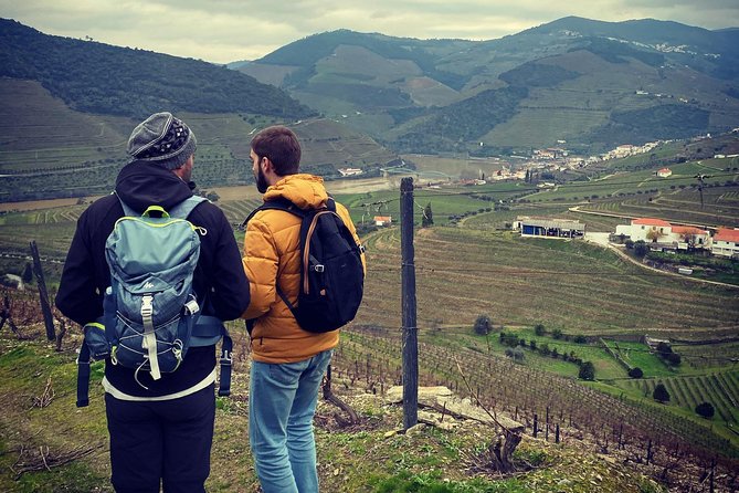 HIKE at DOURO VALLEY W/ Winery Visit and Tasting - Douro Valley Hike