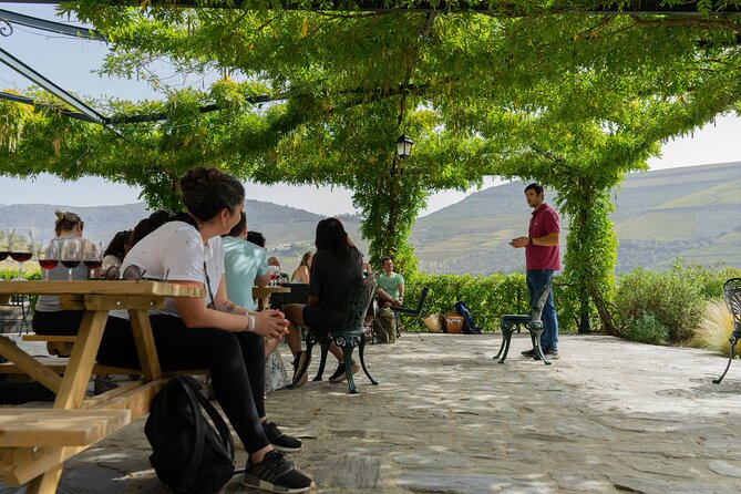 HIKE at DOURO VALLEY W/ Winery Visit and Tasting - Port Wine Tasting