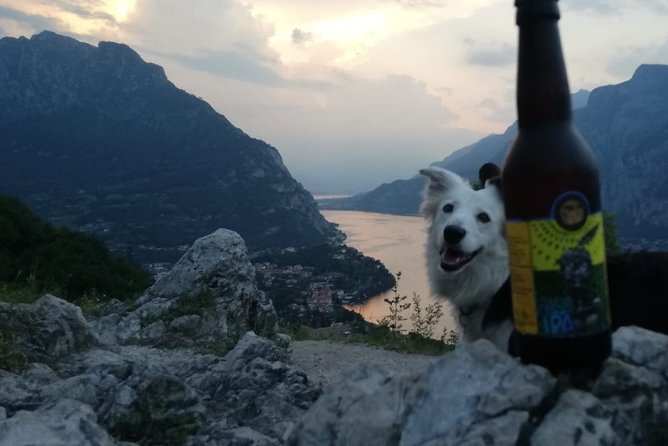 Hike & Beer: Local Craft Beer Tasting, Breathtaking Views With Your Beer on Top - What to Expect on the Hike
