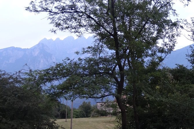 Hike & Beer: Local Craft Beer Tasting, Breathtaking Views With Your Beer on Top - Craft Beer Tasting at the Brewery