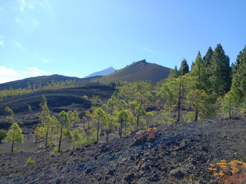 Hike Classic Tenerife - Itinerary