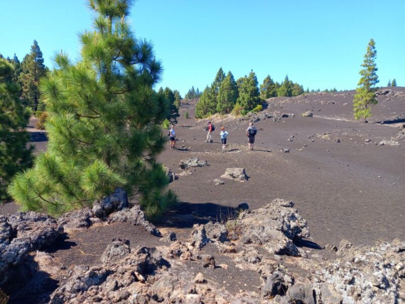 Hike Classic Tenerife - Highlights