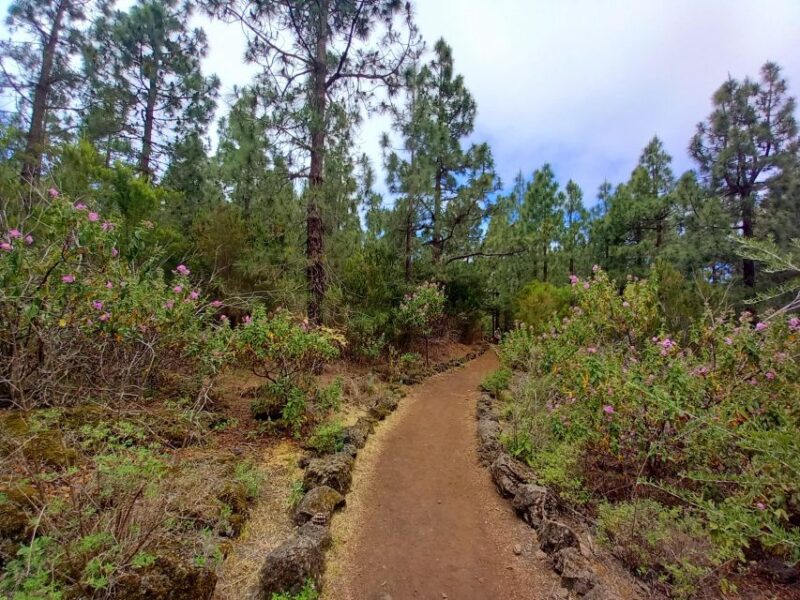 Hike Classic Tenerife - Inclusions and Requirements