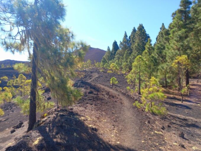 Hike Classic Tenerife - Difficulty Level
