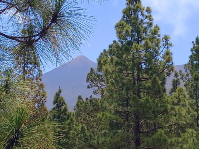 Hike Classic Tenerife - What to Bring