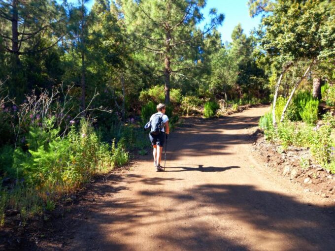 Hike Classic Tenerife - Frequently Asked Questions