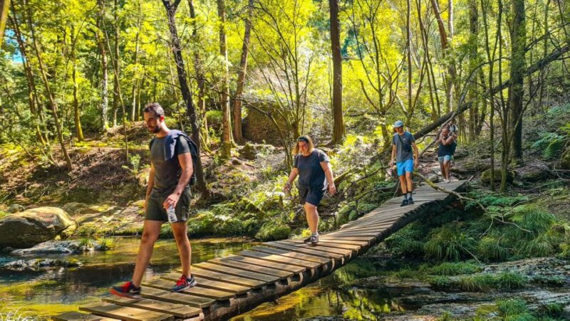 Hike, Dive & Dine Like A Local in a Secret Spot - Booking Details