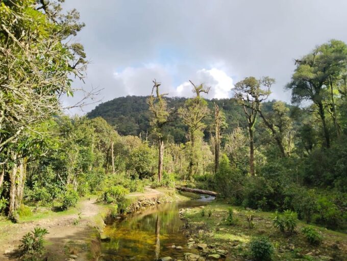 HIKE FANXIPAN MOUNTAIN TOUR 1DAY - Frequently Asked Questions