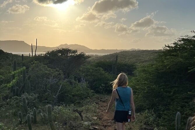 Hike Goto Flamingo Meer Trail & Explore North Bonaire - Tour Overview and Details