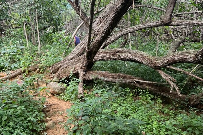 Hike Goto Flamingo Meer Trail & Explore North Bonaire - Exploring Goto Flamingo Meer Trail