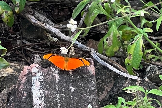 Hike Goto Flamingo Meer Trail & Explore North Bonaire - Preparing for the Hike