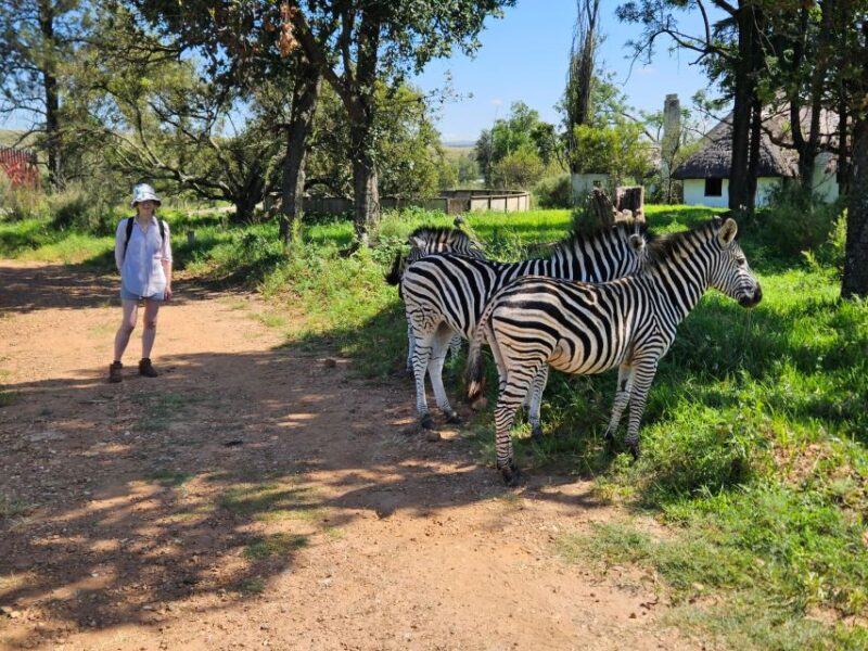 Hike in a Wildlife Reserve With Wild Animals (No Predators) - Hiking Highlights